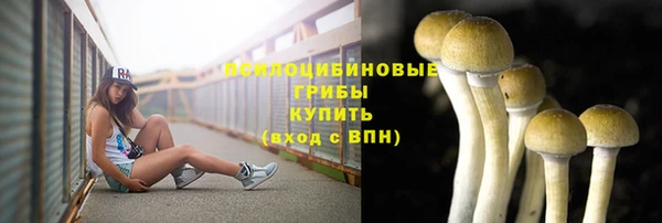 шишки Кукмор