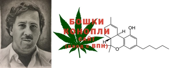 шишки Кукмор