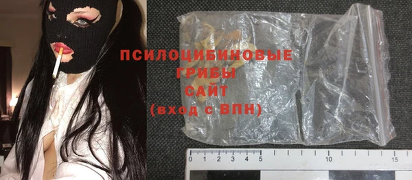 шишки Кукмор