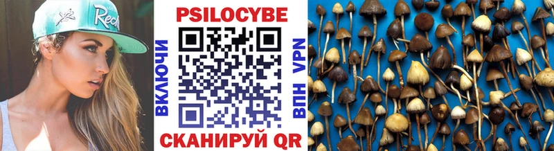 Купить  Облучье  Псилоцибиновые грибы Psilocybe 